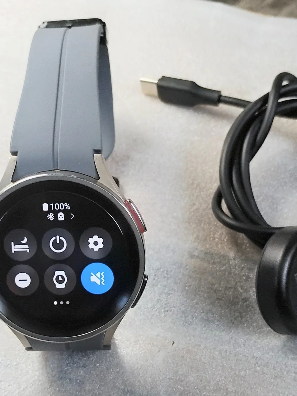Samsung Galaxy Watch 5 Pro - Gray Silicone Band